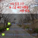 창대태권도장 이미지