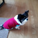 유니온동물의료센터 이미지