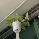 화사랑플라워
