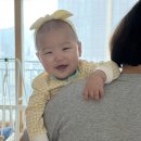 이모 하이요 이미지