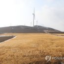 매봉산 바람의언덕 이미지