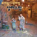 샤인히얼60 | 알레스팜 애월 이색체험 페이팅 물감 체험 후기!
