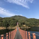 레드브릿지 이미지