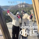 평화고속관광여행사(주) | 국내 당일치기 버스 여행 패키지,아너드로 다녀온 태백산 눈축제