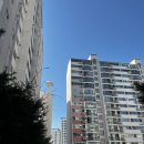 (주)닥터로빈 이미지