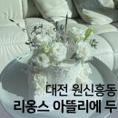 리옹스아뜰리에두 이미지