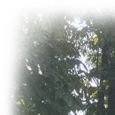 닥터지치과의원 이미지