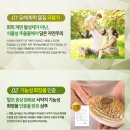 두피 가렵고 머리 빠지는데 샴푸가 문제였습니다 | 이레 에코 패밀리 샴푸 솔직 후기”