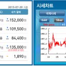 골드쉘화정