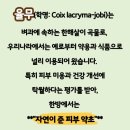 초록담 | 내돈내산 후기] 초록담 생율무가루팩 써봤어요! 쥐젖·비립종 관리에 효과 있나?