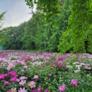 산자락 - 천안시 동남구 해수길 121 | 산자락