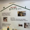 집사의하루 혜화점 이미지