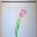 색연필 일러스트 이미지