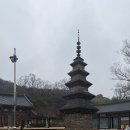 칠곡 송림사 오층전탑 | 칠곡 팔공산 가볼 만한 곳 송림사 방문 후기