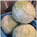 구만족발보쌈 이미지