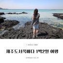 [급제주여행] 제주시~제주서쪽바다 1박2일 여행 (돌고래도 보고, 맛난 음식도 먹고, 바다도 실컷 본...