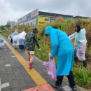 우항공원 이미지