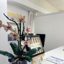 건대피부관리 추천, 고에비아뷰티에서 받은 비비글로우+세라링 후기