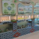 연곡초등학교 이미지