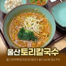 케미갑 | 울산 현대백화점 맛집 토리칼국수 얼큰 샤브칼국수로 딱 좋은 울산 삼산동 점심