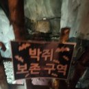 (주)증산광산 | 충주 활옥동굴 카약 후기｜실내 데이트 가볼만한곳 현실 부부 데이트