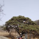 슬립 그리고 빙판길에서(2.22) 이미지
