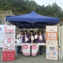 신안군치매안심센터 이미지