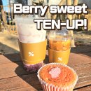 텐 퍼센트(TEN PERCENT) | 딸기의 계절에 돌아온 텐퍼센트커피 Berry sweet TEN-UP! 음료 및 딸기카스테라 후기