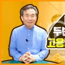 [유튜브새소식] 비타민C 두번째 이야기 고용량이 답이다! Q&A 이미지