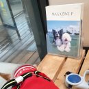 동인동물병원 이미지