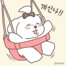 스타복싱 이미지