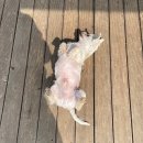 준독트레이닝센터 이미지