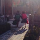 새샘태권도 이미지