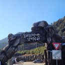 깊이울 달빛 캠핑장 이미지