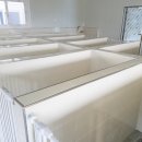 파트라슈 | 부산 강아지 애견 호텔링 추천 밀양 파트라슈 반려견학교 시설 금액 비용 후기