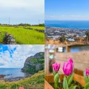 인수목장 | 제주도 렌트카 가격비교 추천 돌하루팡