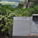 삼도상사 이미지