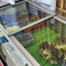 판교 장어 맛집 장어사랑 점심특선 놓치지 마세요