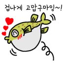 시수스포츠 이미지