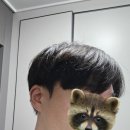 이연헤어샵
