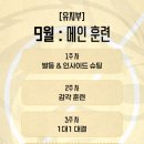 아르스풋볼