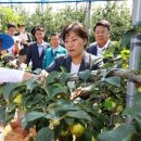 (주)키노티시스템 이미지