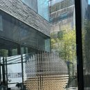 서초동 카페 이로 EERO 내돈내산 방문 후기