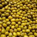 녹두로R 이미지