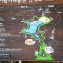 다금식당
