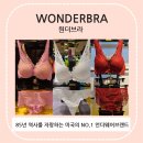 원더브라엔씨 네이버블로그