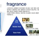 블루옴므