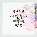 라파엘 동물병원 | 반려견과 행복한 공존! 연수구동물병원