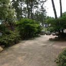 나리가펜션 이미지