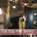 퓨리티카페 이미지